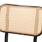 Baxton Studio Katina MidCentury Dark Brown Finished Metal and Synthetic Rattan Outdoor Dining Chair Set2PC, PR 211-2PC-11969-ZORO - alternate 10